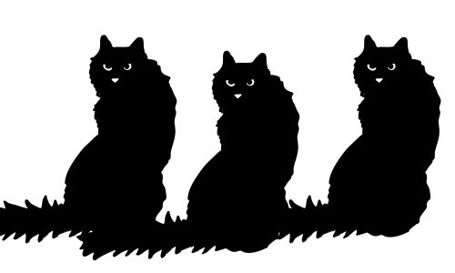 Pl&ouml;tzlich Tod! mit Hotel AmorT und Album-Release von Meret Siebenhaar