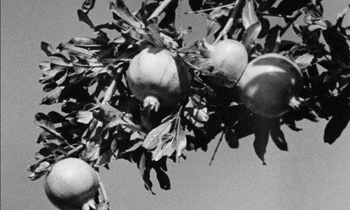 Die Freitagsakademie: LOVE, SWEET LOVE