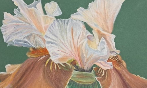 Joy Schmidt Art - Raumnahme