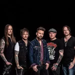 The New Roses