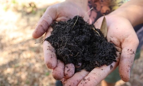 Kompost &ndash; nat&uuml;rlich recyceln