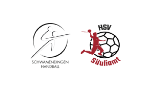 Blaui Schwänli Schwamendingen - HSV Säuliamt 1