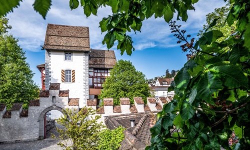 Dauerausstellung Museum Burg Zug