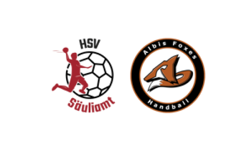 HSV S&auml;uliamt 3 (M4) - SG Albis Foxes Handball (M2)