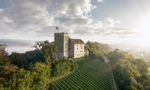 Schloss Habsburg