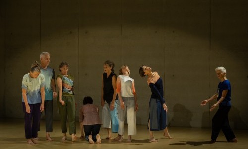 making a sullen roar (ehem. 27 emotions (AT))