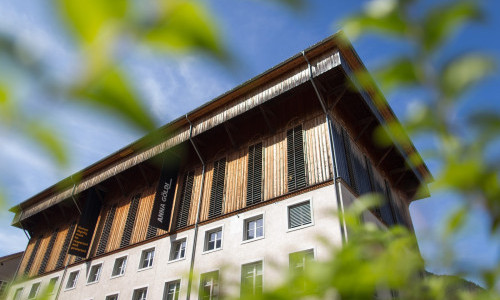 Anna G&ouml;ldi Museum