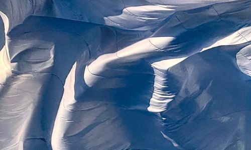 WHITE FLAG