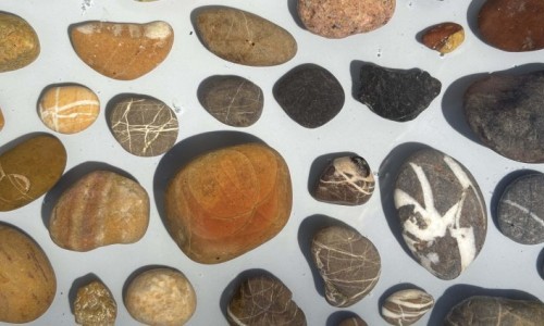 Mehr als nur klein, rund und grau