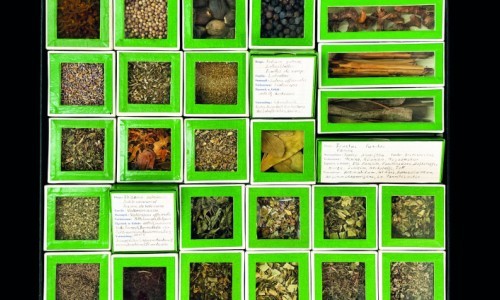 Es t&ouml;kterlet e bitzli - Die Drogensammlung von Paul Schaad