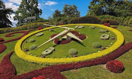 Jardin Anglais