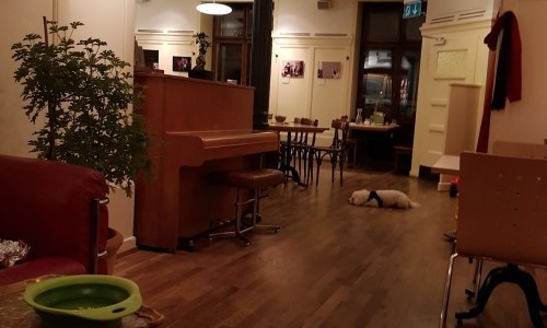 Quartiertreffpunkt LoLa