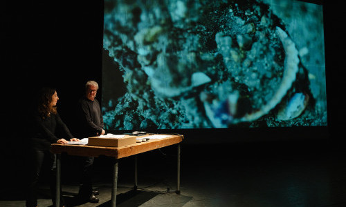 The vertiginous Story of Orthosia