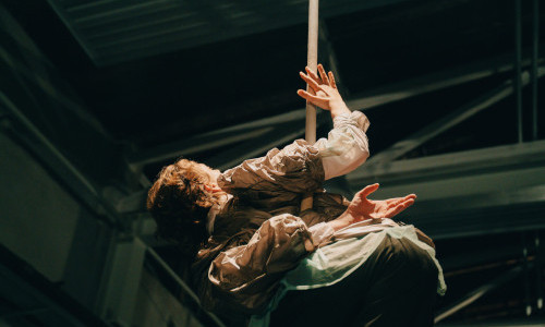 Aerial Movement Research Workshop