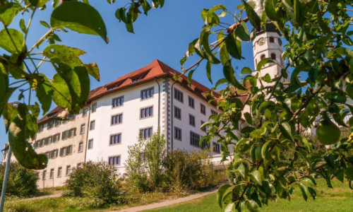 Monastisches Leben im Schatten der Konstanzer Kathedrale&zwj;