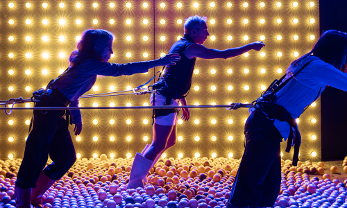 Die Rückkehr der Fährfrauen*