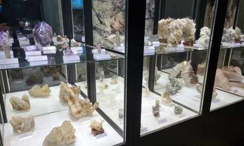 Mus&eacute;e des Sciences de la Terre