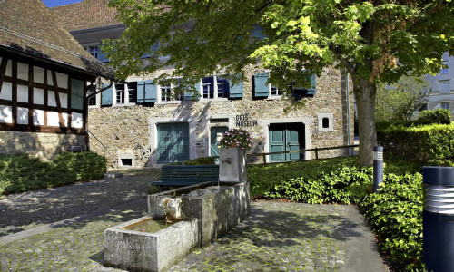 Museum Thalwil