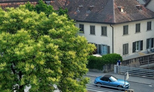 Hotel Sonne Altst&auml;tten