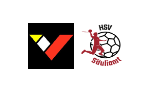 HSG Siggenthal/Vom Stein Baden - HSV Säuliamt 2