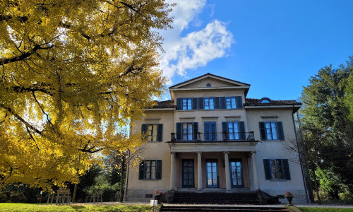 Strohmuseum im Park