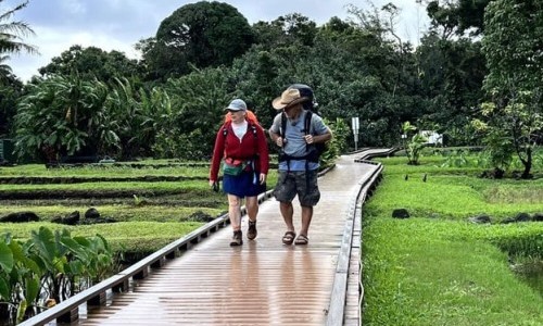 Kabel Eins: Willkommen bei den Reimanns