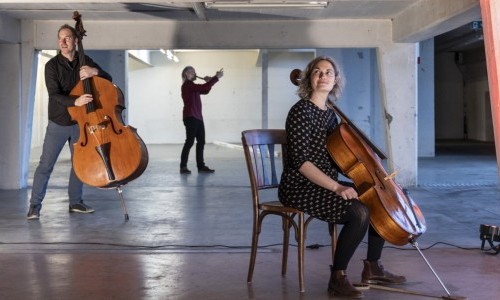 StimmSaiten - Aurora - Fr&uuml;hklang