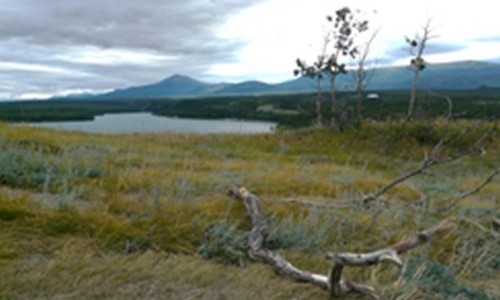 Forum Garage - Zukunftsfragen der Gesellschaft: Ressourcen &ndash; Biodiversit&auml;t f&uuml;r eine lebenswerte Zukunft