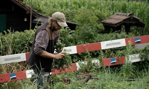 LE GO&Ucirc;T DES CHOSES