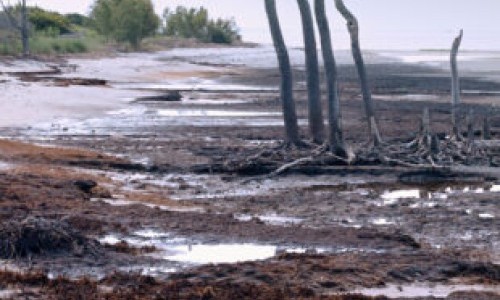 Dans le d&eacute;cor de &Eacute;cho min&eacute;ral