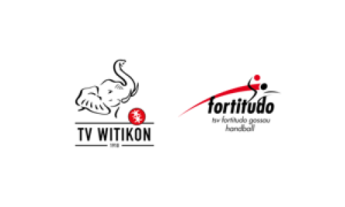 TV Witikon - SG Fürstenland Handball