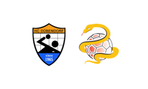HC D&uuml;bendorf - SG Lachen/H&ouml;fe 1