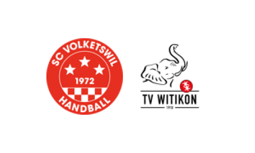 SG Oberland Falcons 1 &deg; - TV Witikon