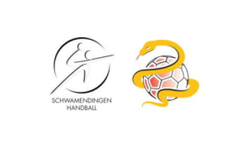 Schwamendingen Handball - SG Lachen/H&ouml;fe 1