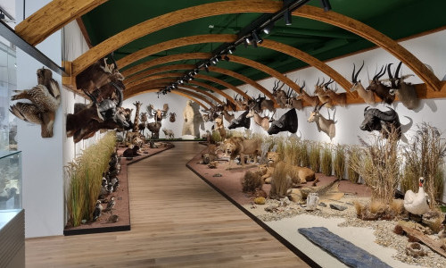 Arche Noah Kunst & Natur
