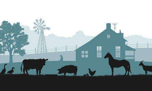 Farm der Tiere - Ein Postenlauf