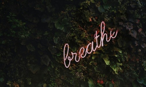 &laquo;Starte achtsam in den Tag&raquo; Meditations-Workshop mit Kristina Pranjic