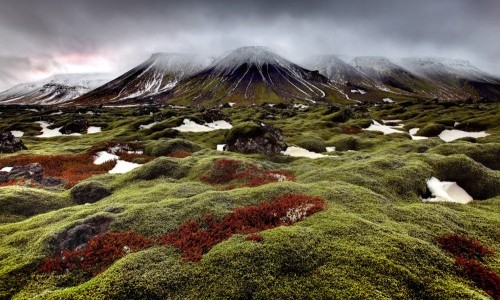 Wunderwerk Natur &ndash; wie wir unseren Planeten retten