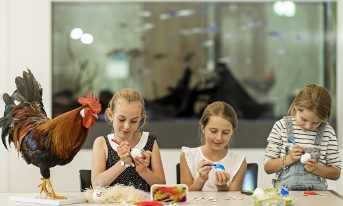 Walk-in Basteln - Male kunterbunte Ostereier