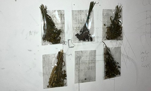 Die Wand mit Lars Luginbühl