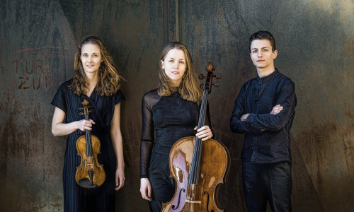 Kammermusik Luzern: Amelio Trio