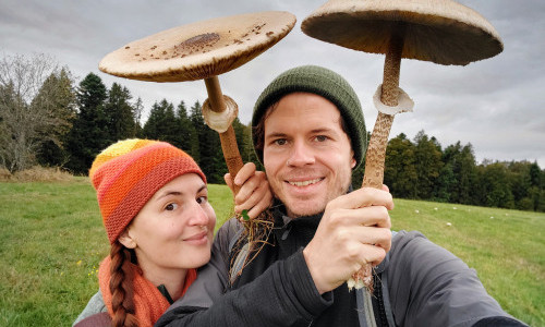 Explora: Pilze & Kr&auml;uter