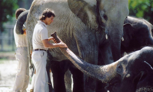 Zoo