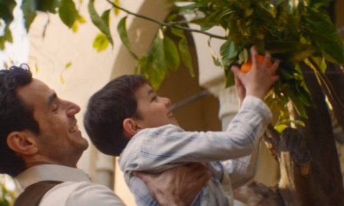 All That&rsquo;s Left of You (dt.: Im Schatten des Orangenbaums)