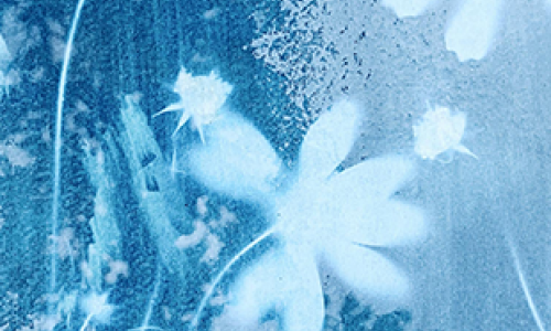 Initiation au cyanotype