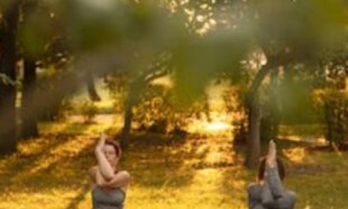 Les matinales au Potager - Yoga