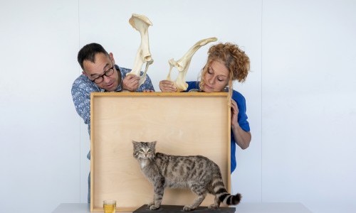 Wissen-Saft – Auf ein Glas mit …