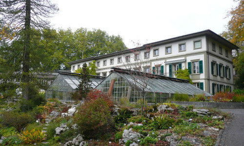 BOGA Botanischer Garten der Universit&auml;t Bern