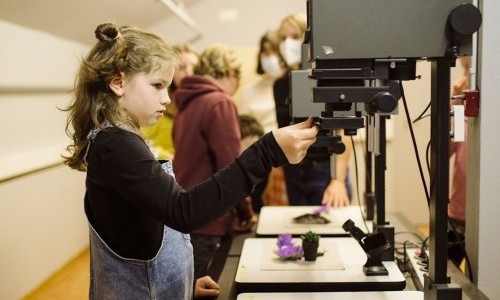 Familienworkshop: Fotogramm &ndash; Gestalten mit Licht