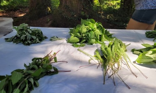 Orbe, atelier Herbettes - Atelier Herbettes